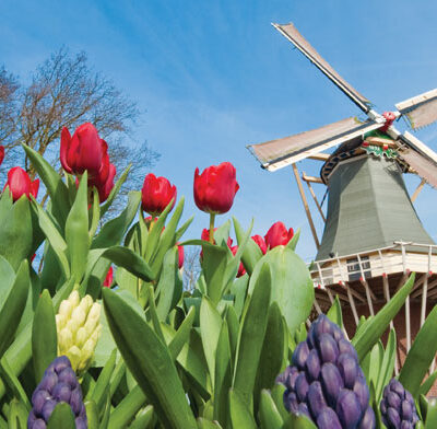Dutch-Windmill