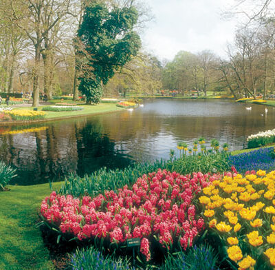 Keukenhof_Gardens