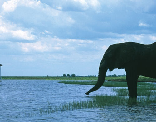 botswana_08