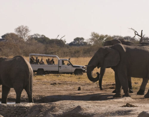 botswana_11