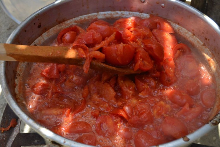 Tomato Passata day4a